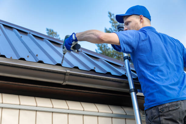 Best Sheet Metal Roofing  in Honokaa, HI