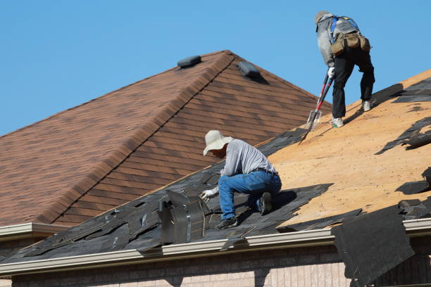 Best Roof Insulation Installation  in Honokaa, HI