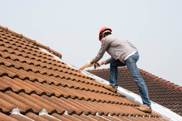 Best Roof Installation  in Honokaa, HI