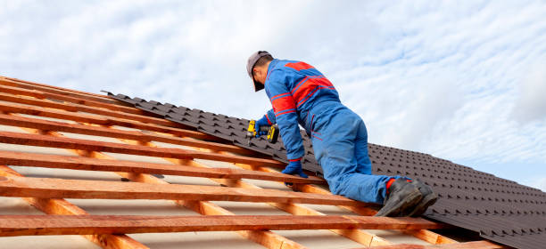Best Roof Leak Repair  in Honokaa, HI