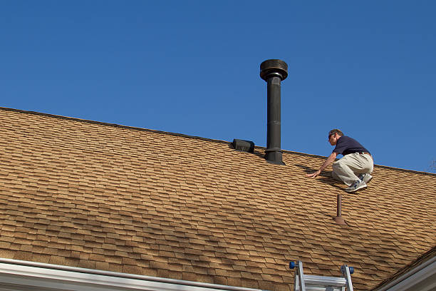 Best Metal Roofing Installation  in Honokaa, HI